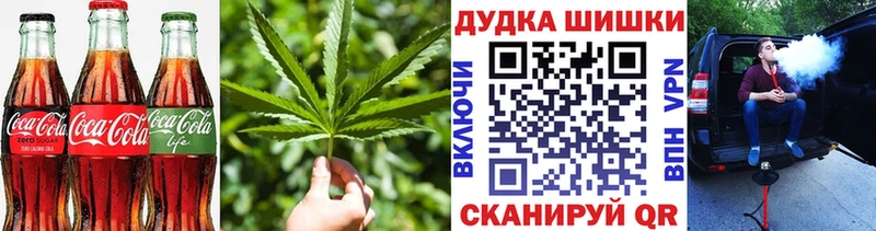 закладка  Сясьстрой  Еда ТГК марихуана 