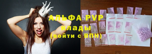 амф Вяземский