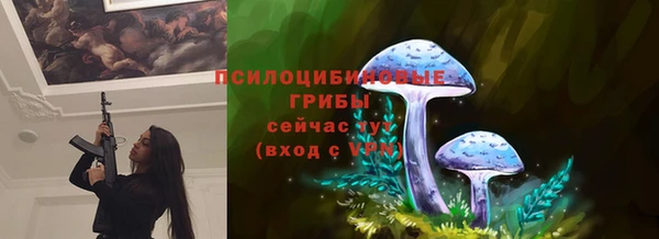 Альфа ПВП Алзамай