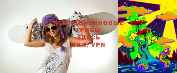 Альфа ПВП Алзамай