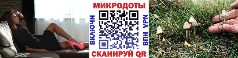 цена наркотик Сясьстрой Галлюциногенные грибы мухоморы